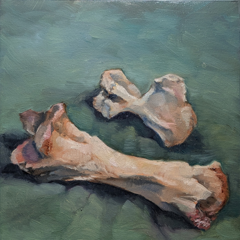 Bones (oil on linen panel, 11 in. x 14 in.)